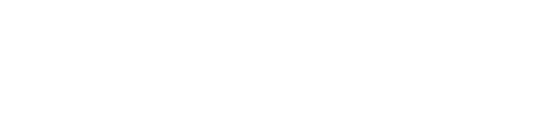 The BPM Festival logo